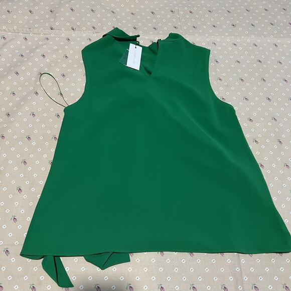 Sugar + Lips Blouse Womens Small Green Sleeveless Ruffle Front Neck Tie V Neck - Picture 1 of 6